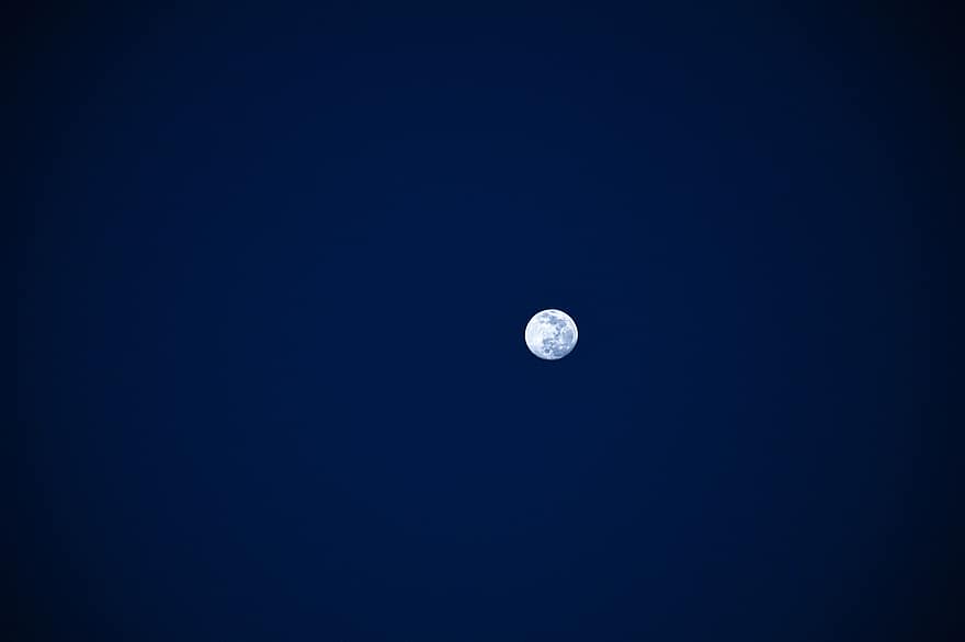 місяць, повний місяць, ніч, місячне світло, вечірній, темний, небо, супутник, блакитний, астрономія, планети