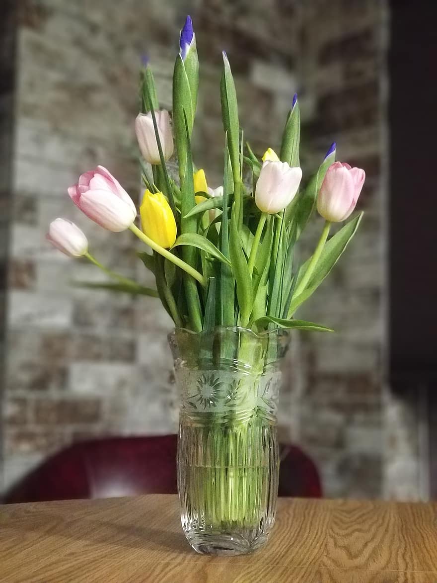 tulipán, váza, květiny, kytice