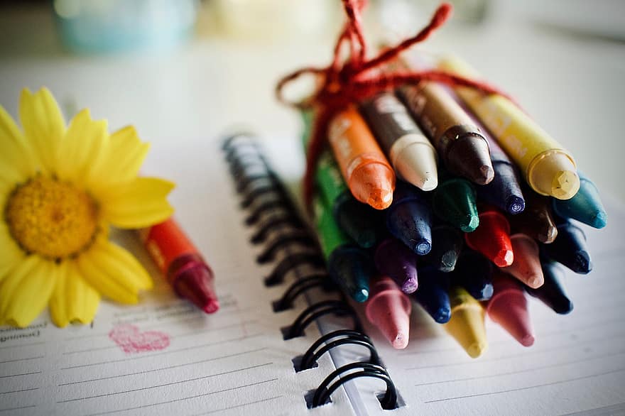 Crayons, Colors, Flower, Creative, Draw, Stationery, Colorful, Education, Art, Artistic, School