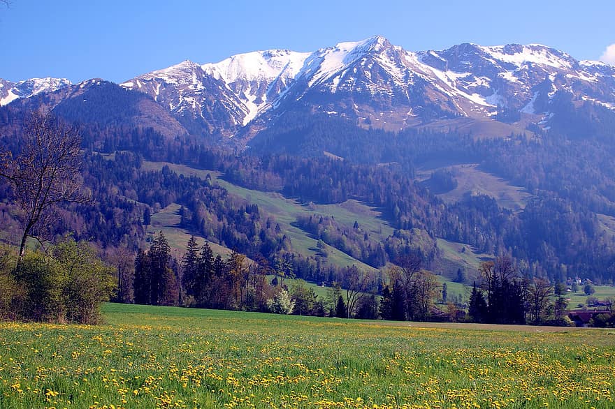 Berge, Naturpark Gantrisch, Schweiz, Wiese, Berglandschaft, Bäume, Gipfel, Frühling, Berg, Gras, ländliche Szene