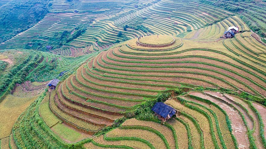 Terraces, Farm, Landscape, Rice, Paddy Field, Agriculture, Field, Plantation, Countryside, Rural, Valley