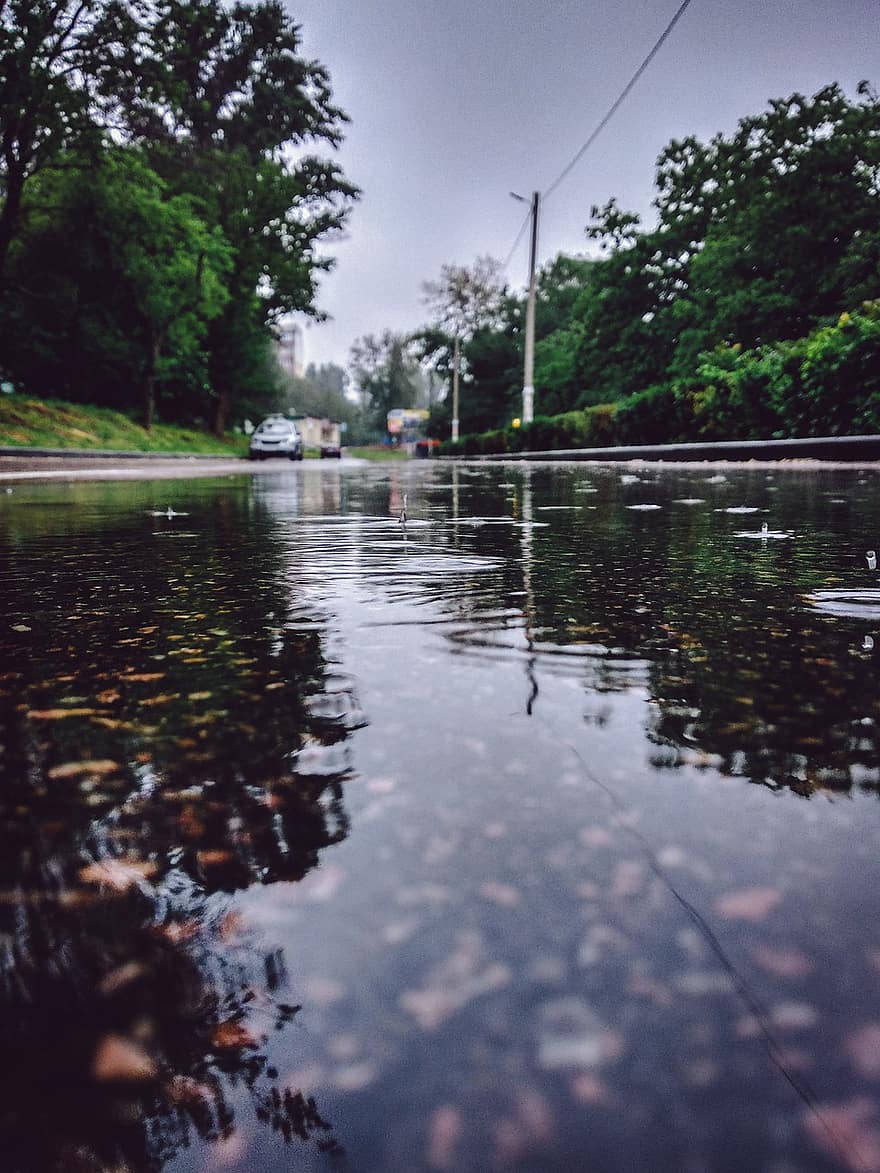 reflexão, chuva, poça, molhado, asfalto, clima, natureza, estrada, outono, pavimento, cidade