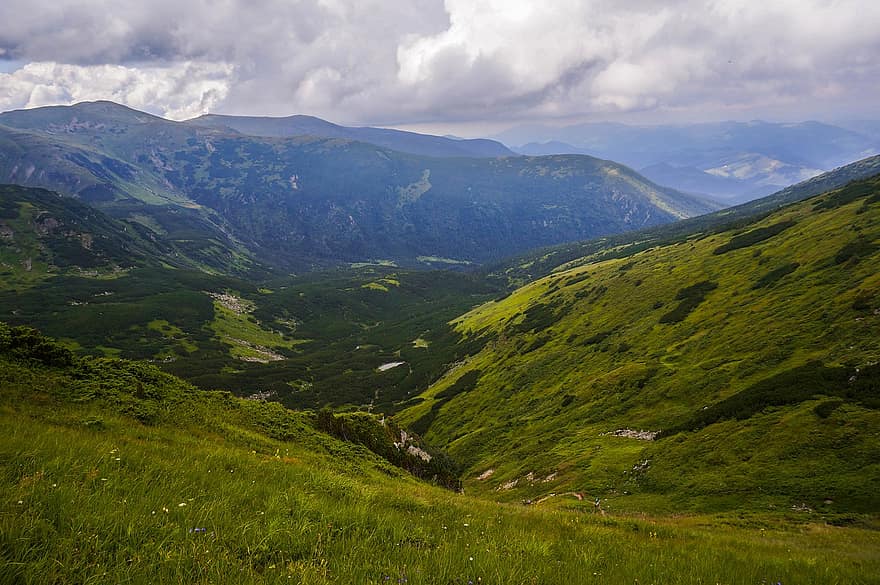 góry, Karpaty, Natura, Ukraina