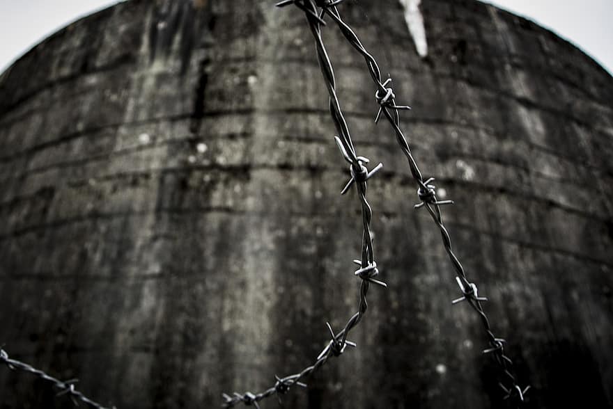 Barbed Wire, Wire, Wall, Steel Fence, Abandoned, Building, steel, fence, metal, prison, rusty