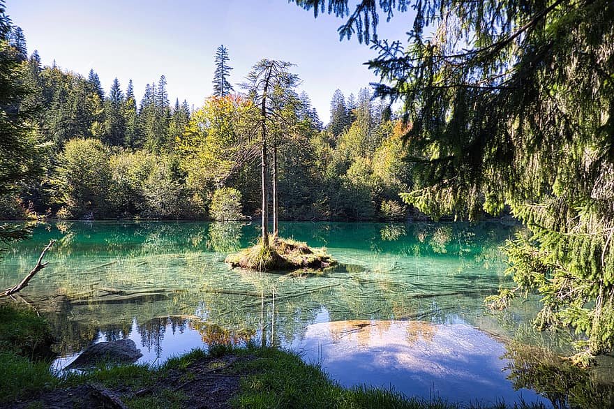 lago da montanha, floresta, reflexão, agua