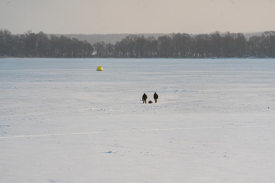 pesca en hielo, invierno, naturaleza, vacaciones, afueras, Rusia, pescador, nieve, perro, hielo, deporte