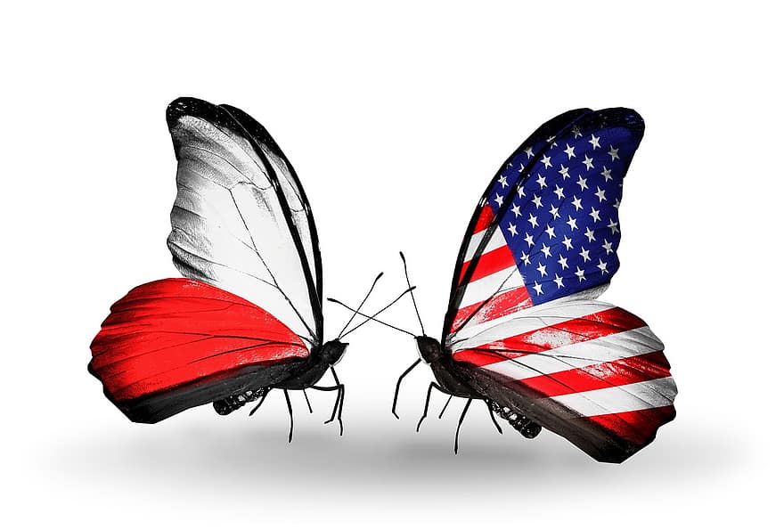 flag, amerikansk, insekter, symbol, stat, flyrejser, kjole, blå, pige, engelsk, penge