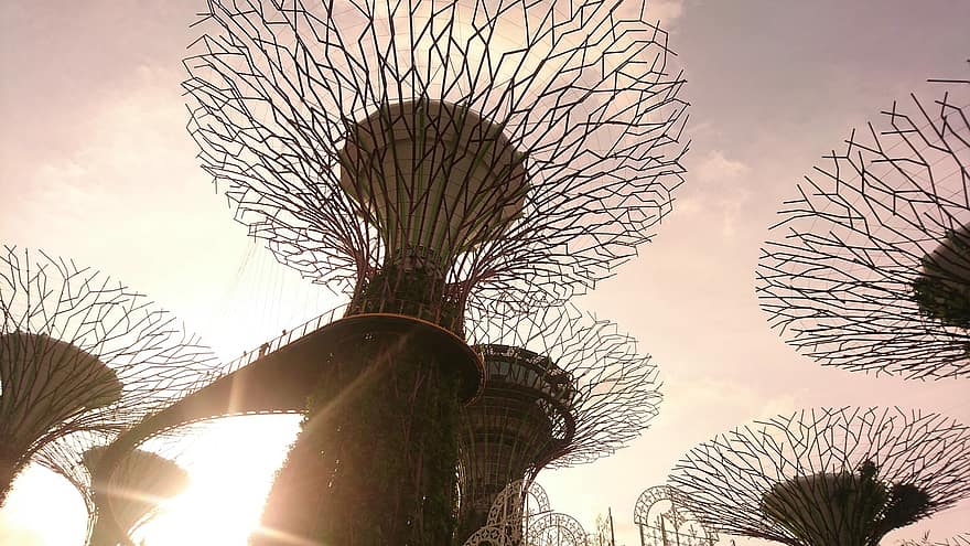 súper árboles, Singapur, arboleda, puesta de sol, Asia, viaje, turismo, arquitectura, lugar famoso, paisaje urbano, estructura construida