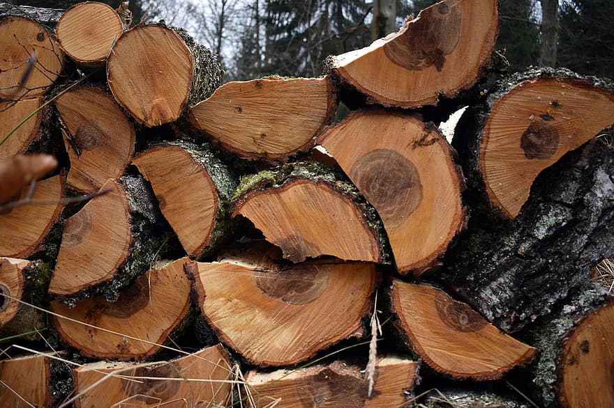 gỗ, nhật ký, thân cây, củi, Những mảnh gỗ, đống gỗ, bằng gỗ, lâm nghiệp, kết cấu, nạn phá rừng, cây rơm