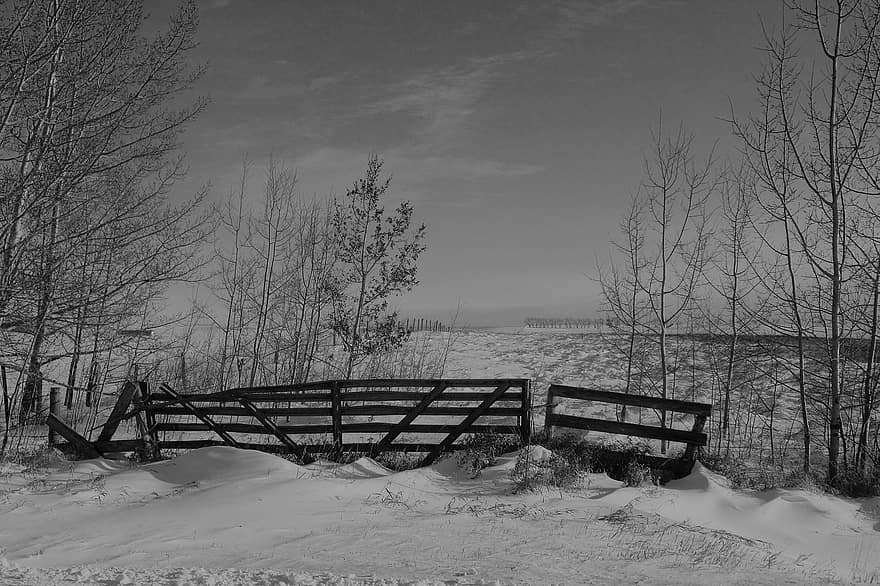 brama, zimowy, śnieg, krajobraz, gospodarstwo rolne, pole