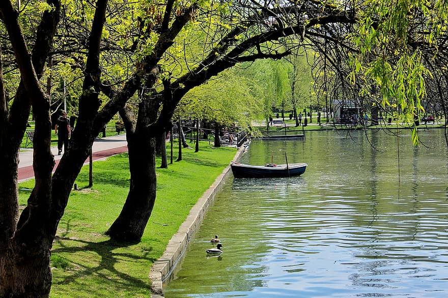 パーク、ボート、水、湖、自然、木、夏、緑色、草、池、航海船