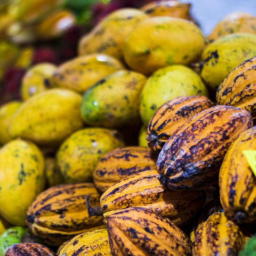 плодове, манго, какаови зърна, свежест, храна, жълт, органичен, зрял, здравословно хранене, селско стопанство, едър план