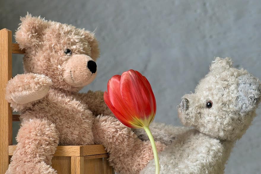 hari Valentine, boneka beruang, valentine, cinta, hadiah, bunga, teddy, boneka binatang, mainan, imut, masa kecil