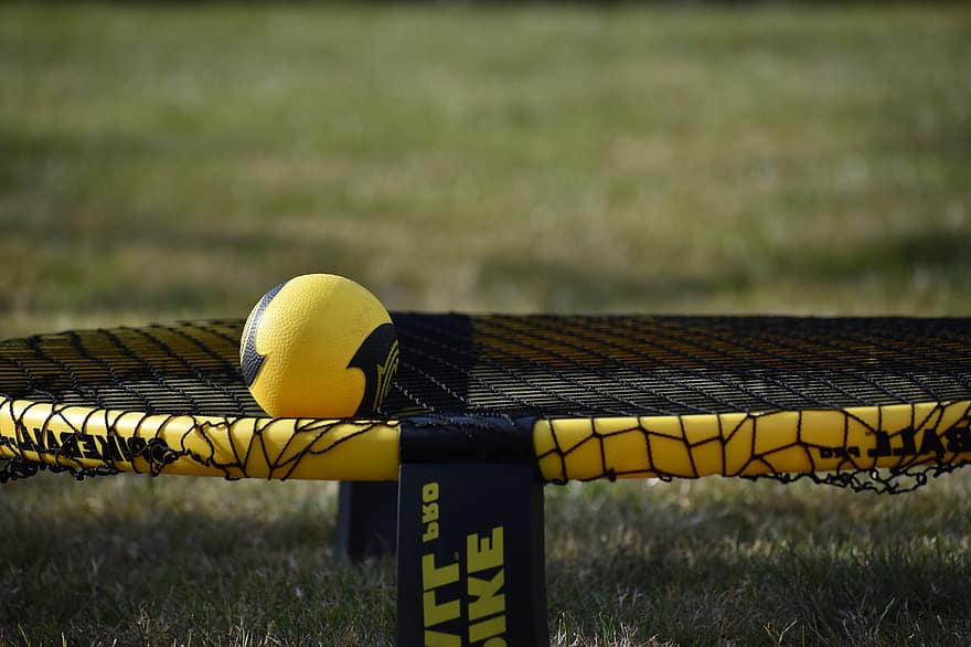 Spikeball, Ball, Net, Sport, Pro, Outdoors, Game, Competition, Activity, Play, Tournament