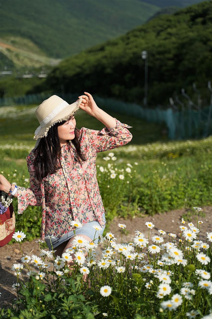 mulher, flores, campo, margaridas, caminho, Colina, Prado, República da Coreia