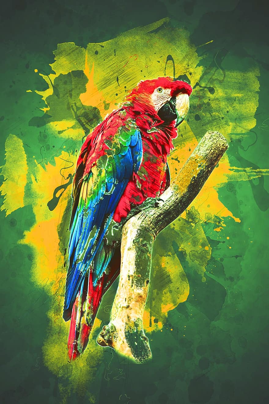 scarlet macaw, papukaija, lintu, ara macao, ara, eläin, villieläimet, höyhenpeite, nokka, trooppinen, värikäs