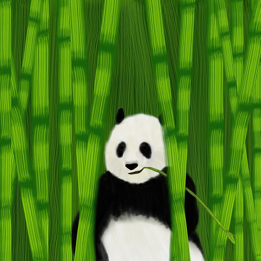 панда, бамбук, Рисование, Изобразительное искусство, фон
