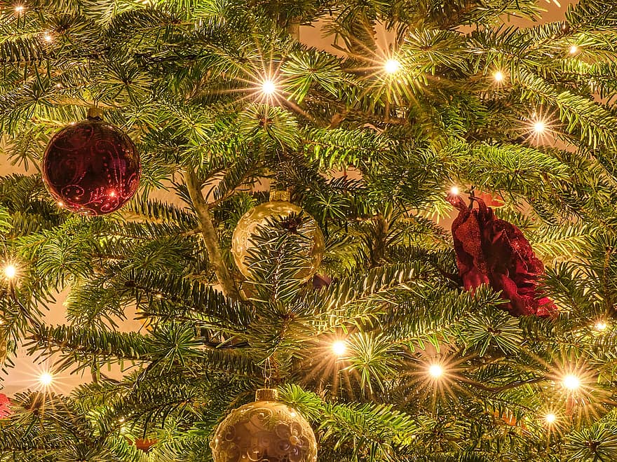 коледна елха, орнаменти, светлини, Коледа, Коледна украса, дрънкулка, коледни топки, коледни лампички, бор, дърво