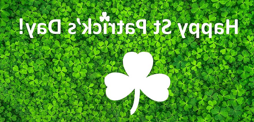 ziua Sf. Patrick, ziua saint patricks, irlandez, celebrare, trifoi alb, verde
