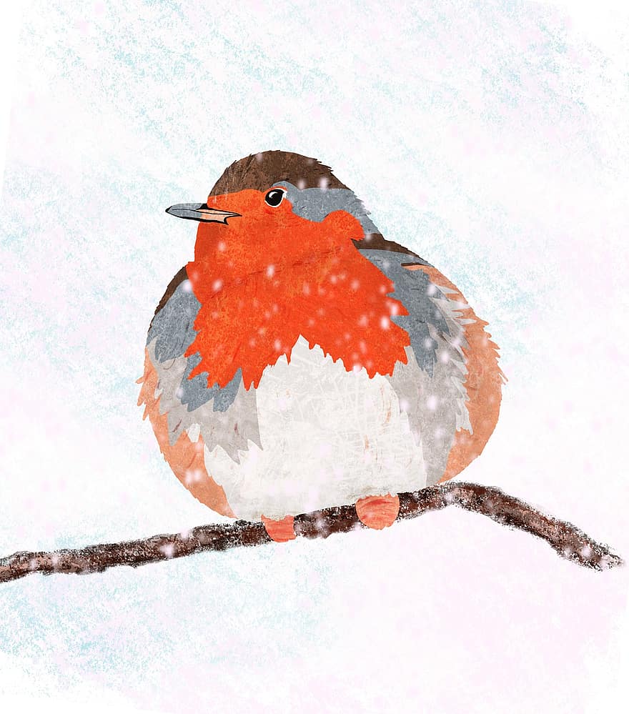 robin, burung, alam, hewan, burung penyanyi, cabang, hari Natal, musim dingin, imut, salju, putih