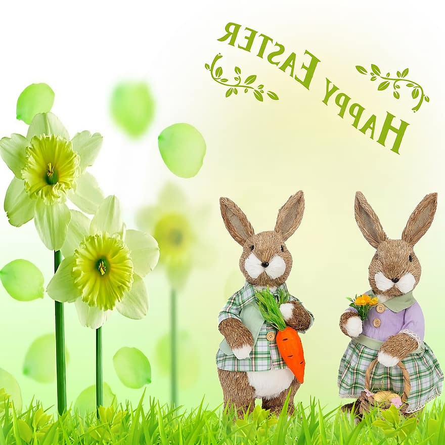 Pasqua, conillets de pasqua, fons de pasqua, narcisos, flors, primavera, herba, conill, bonic, color verd, celebració