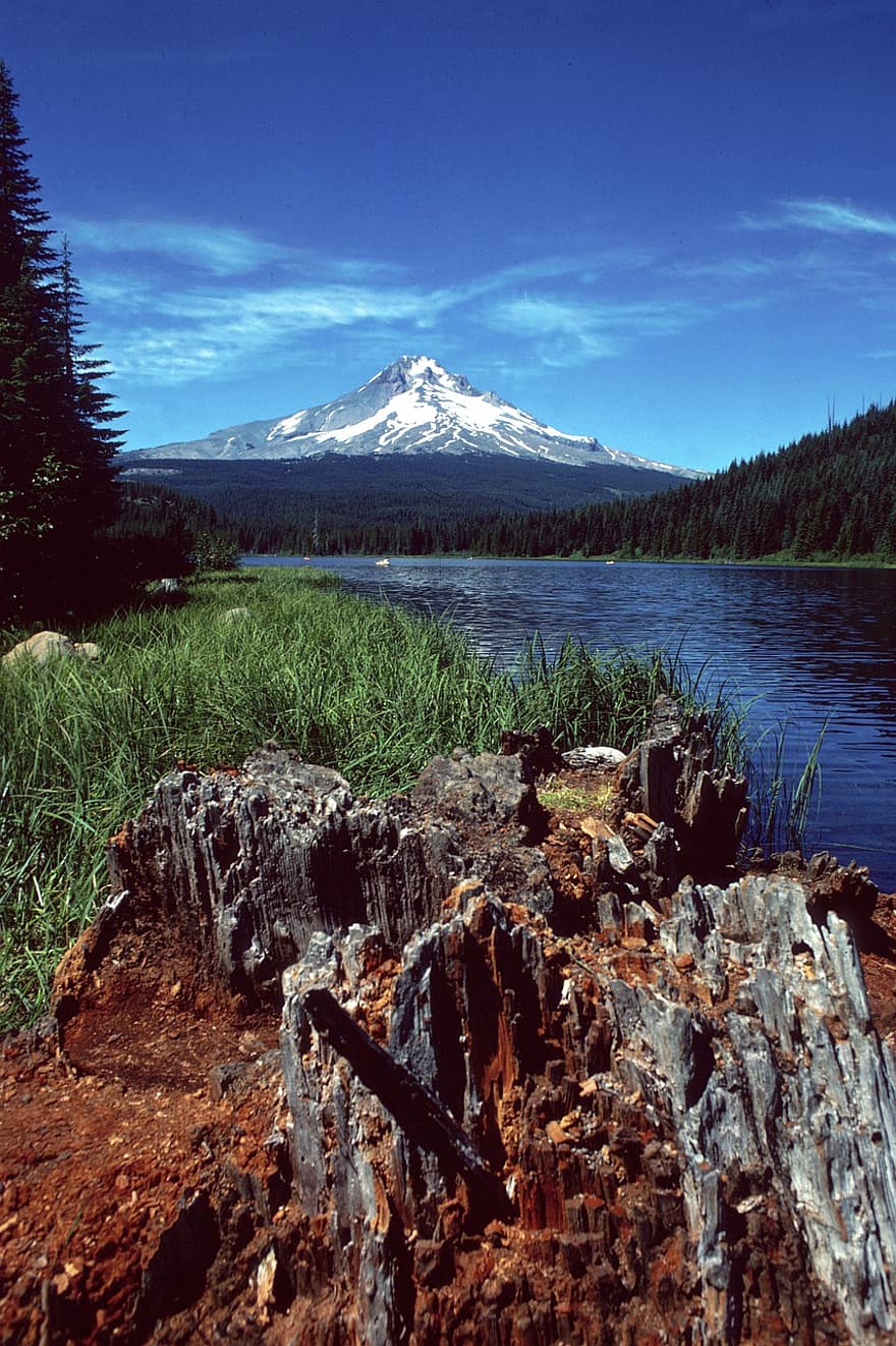 huppu, vuori, luonto, Oregon, maisema, luonnonkaunis, luoteeseen, erämaa, Yhdysvallat, vuoret, Puut