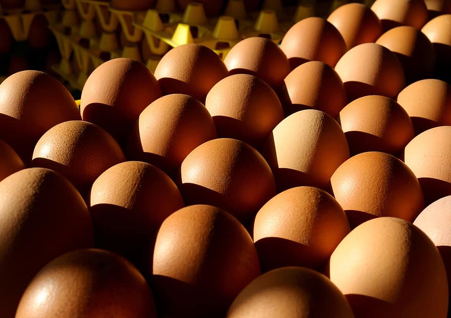 bruine eieren, eieren, voedsel, kippeneieren, eierrekje, ontbijt, vers, biologisch