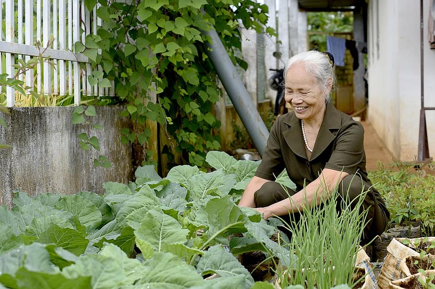 idős nő, otthon kertészet, zöldségek, zöldségeskert