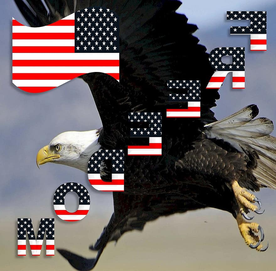 dom, patriotisks, amerikāņu, ASV, ērglis, karogs, sarkans, balts, zils, zvaigznes, svītras