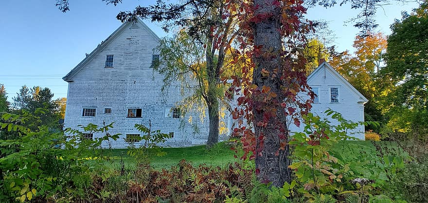 fallen, Herbst, Haus, Immobilien, Maine, ländlich, ländliche Szene, die Architektur, Baum, alt, Holz