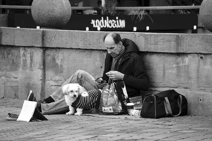 Poverty, Dog, Man, Monochrome