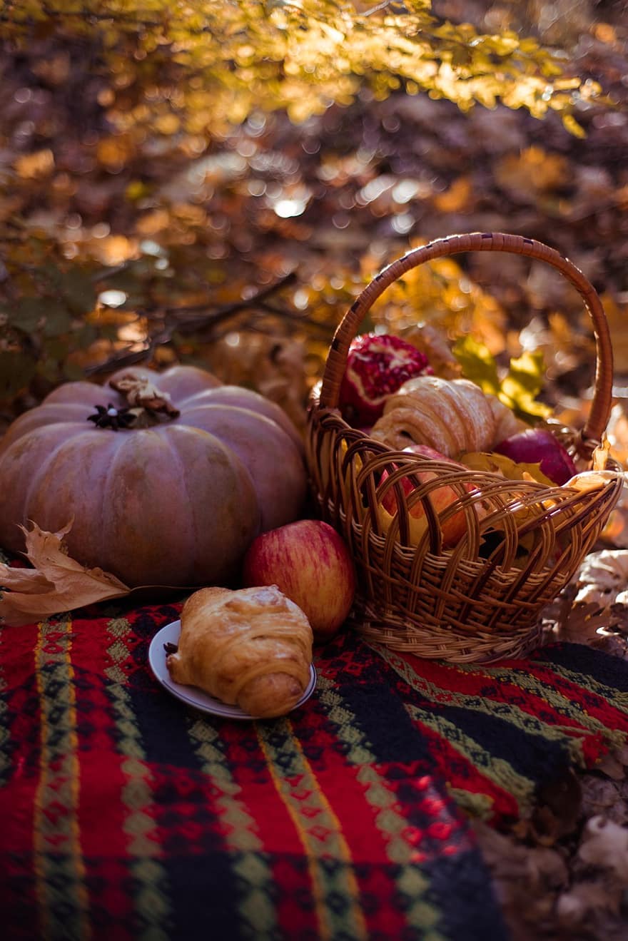 ピクニック、バスケット、かぼちゃ、パーク、秋、自然、フード、庭園、クロワッサン、林檎