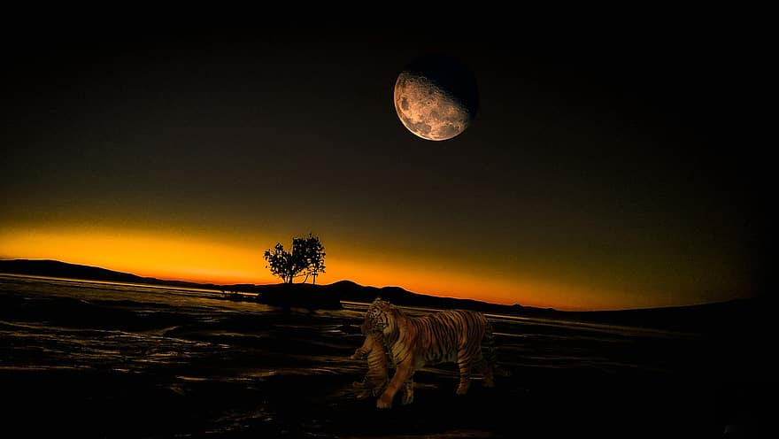 måne, solnedgang, tiger, dal, bjerge, aften, mørk, fantasi, nat, skumring, landskab