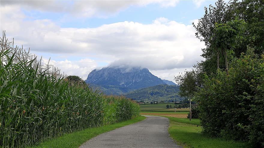 kukurūzas lauks, ceļš, krūmi, kalnu pakājē, mākoņi, traunšteins, lauksaimniecību, salzkammergut, augšējā austrija