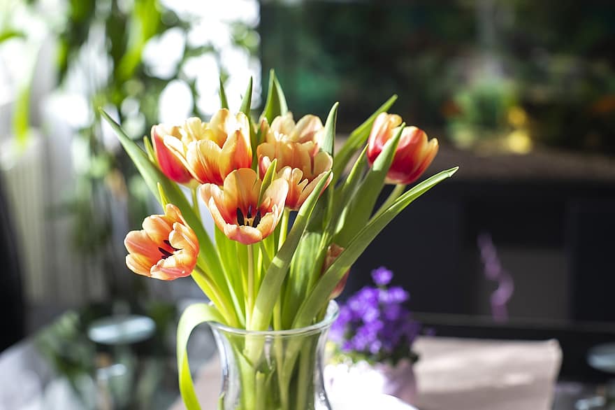 tulipes, fleurs, vase à fleurs, pétales, pétales de tulipes, fleur, Floraison, flore, plante, tulipe, vase