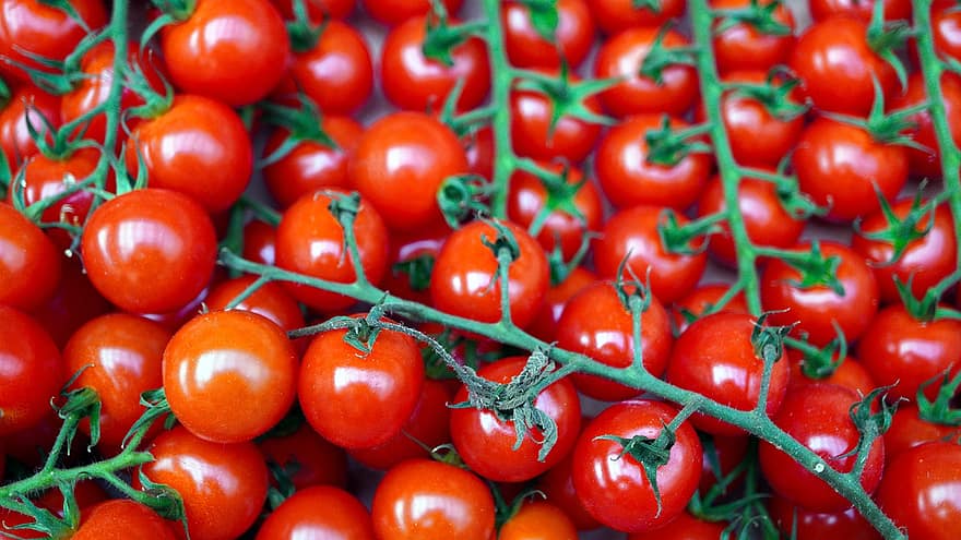 pomidorai, raudona, subrendęs, vyšniniai pomidorai, šviežias, daržovės, maisto, mityba, sveikas, gaminti, derlius