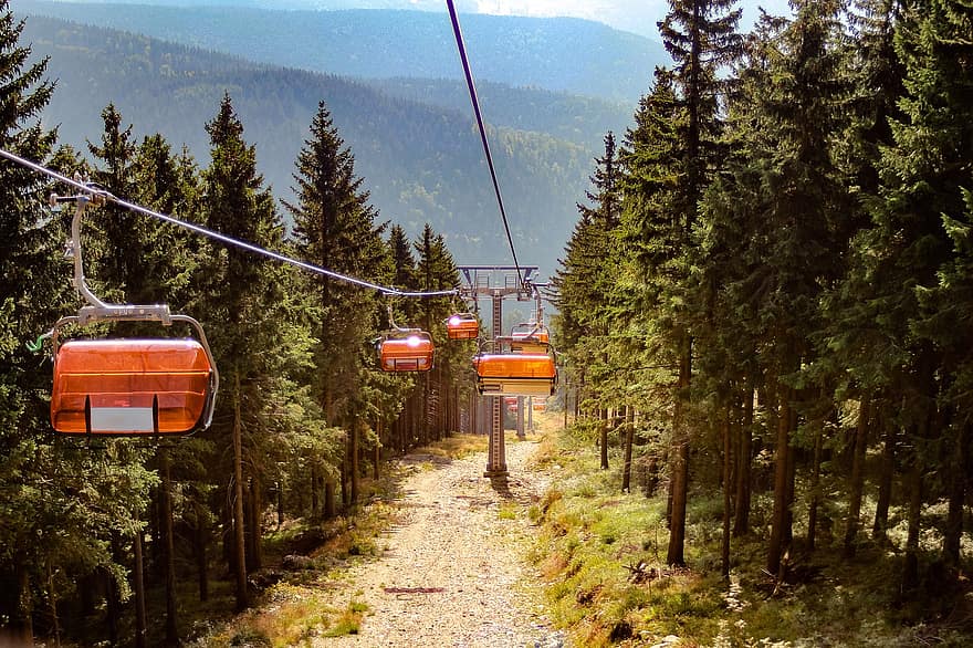 Lift, Cable Car, Trees, Forest, Hiking, Highlands, Sky, View, Activity, Nature, Mountains