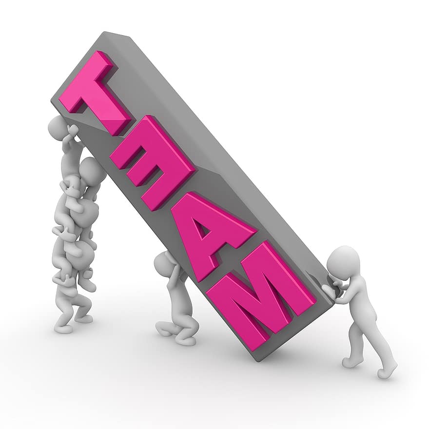 squadra, cooperazione, coesione, gruppo, associazione, insieme, lavoro di squadra, spirito di squadra, umano
