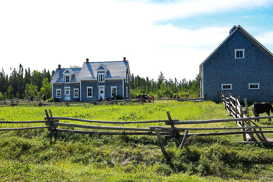 drožinė, naujasis Bransvikas, Kanada, pobūdį, Acadian Village, akadija, pusiasalyje, kaimo scenoje, ūkis, žolė, tvora
