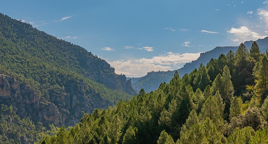 pemandangan, gunung, pohon, kabut, dedaunan, tanaman hijau, pegunungan, pedesaan, alam, hutan, Sierra Del Segura
