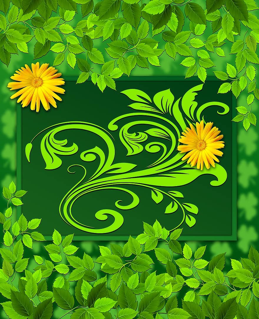 sfondo, struttura, foglie verdi, sfondo verde, colore, verde, margherita