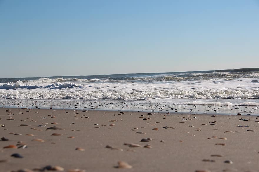 zand, schelpen, zee, oceaan, water, golven, zeegezicht, strand, kust, horizon, zeeschuim