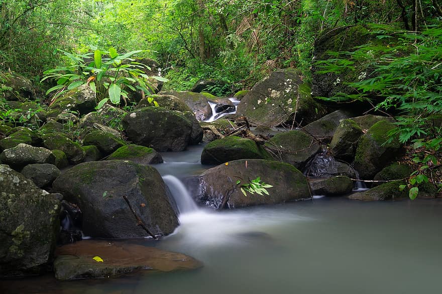 wodospad, Natura, wody srebrne, flora, las, krajobrazy, ekologia, skała, zielony kolor, woda, Tropikalne lasy deszczowe