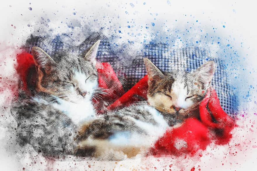 katte, sovende, kunst, abstrakt, akvarel, årgang, farverig, dyr, kitty, T-shirt, kunstnerisk