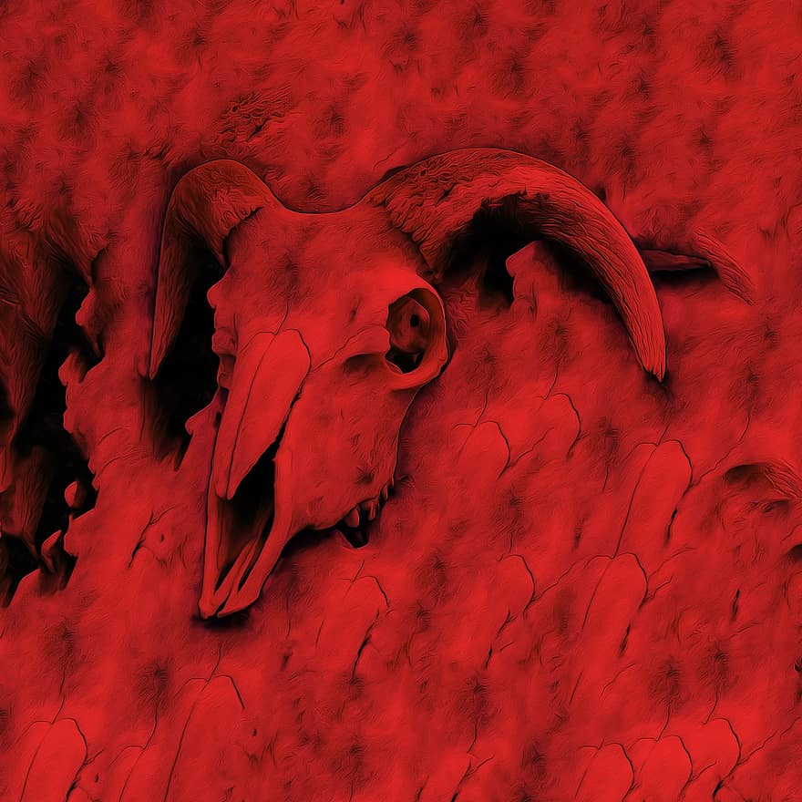 Skull, Red, Cattle, Horns, Spooky, Doom, animal skull, illustration, backgrounds, horned, animal head