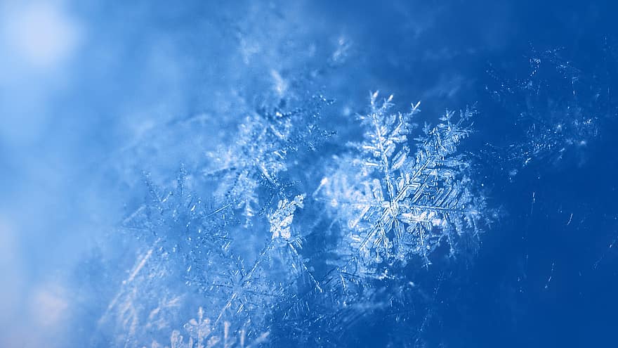 copo de nieve, nieve, invierno, hielo, cristal de hielo, frío, naturaleza, textura, macro, de cerca, papel pintado