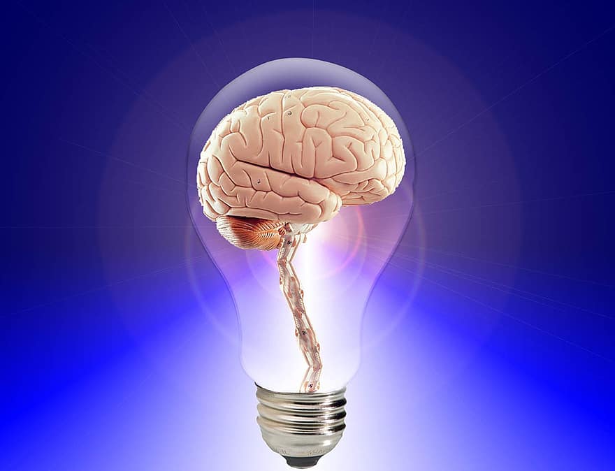smegenys, pagalvokite, žmogus, idėja, intelektas, protas, kūrybingas, mokslas, kūrybiškumas, vaizduotė, verslą