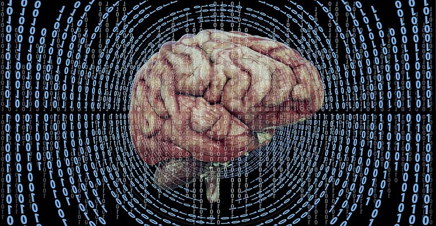 мозку, подумайте, привид, універсальний, створення мереж, підключений, пам'яті, мультивселенна, програмування, комп'ютер, Всесвіт