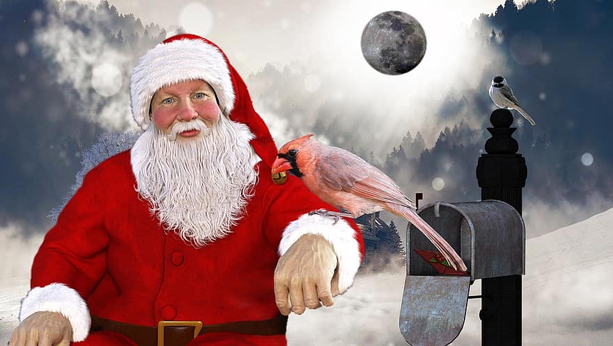 سانتا ، صندوق بريد ، الطيور ، بابا نويل ، موسمي ، أساسي ، طائر احمر ، chickadee ، القمر ، شتاء