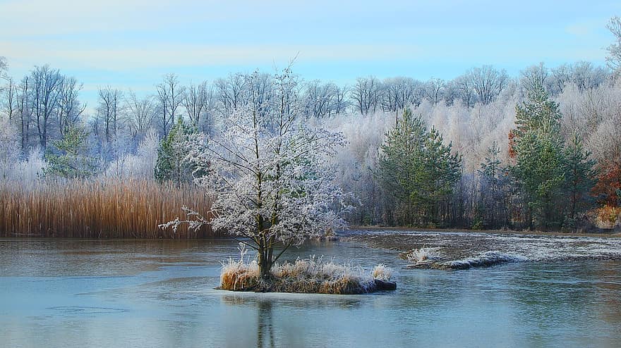 дерева, озеро, мороз, сніг, зима, країна чудес, природи